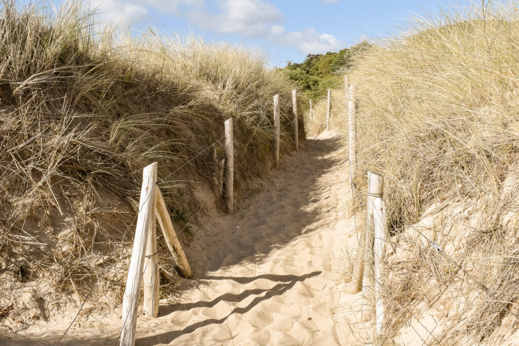 séance photo dans les dunes de sable près de Cancale