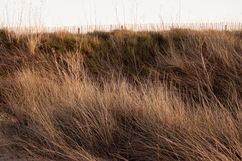 Reportage Elopement et Mariage Saint-Malo et photographe japon, photographe Irlande et ailleurs - photographe