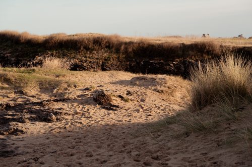 Photographe Saint-Malo Bretagne